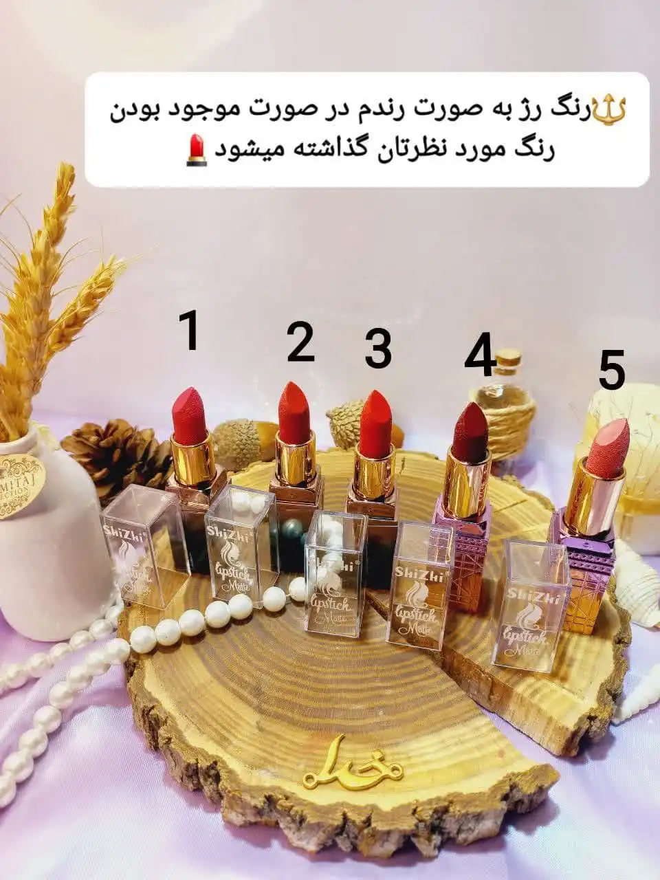 رژ جامد پرطرفدار شیژی SHIZHI کد 207