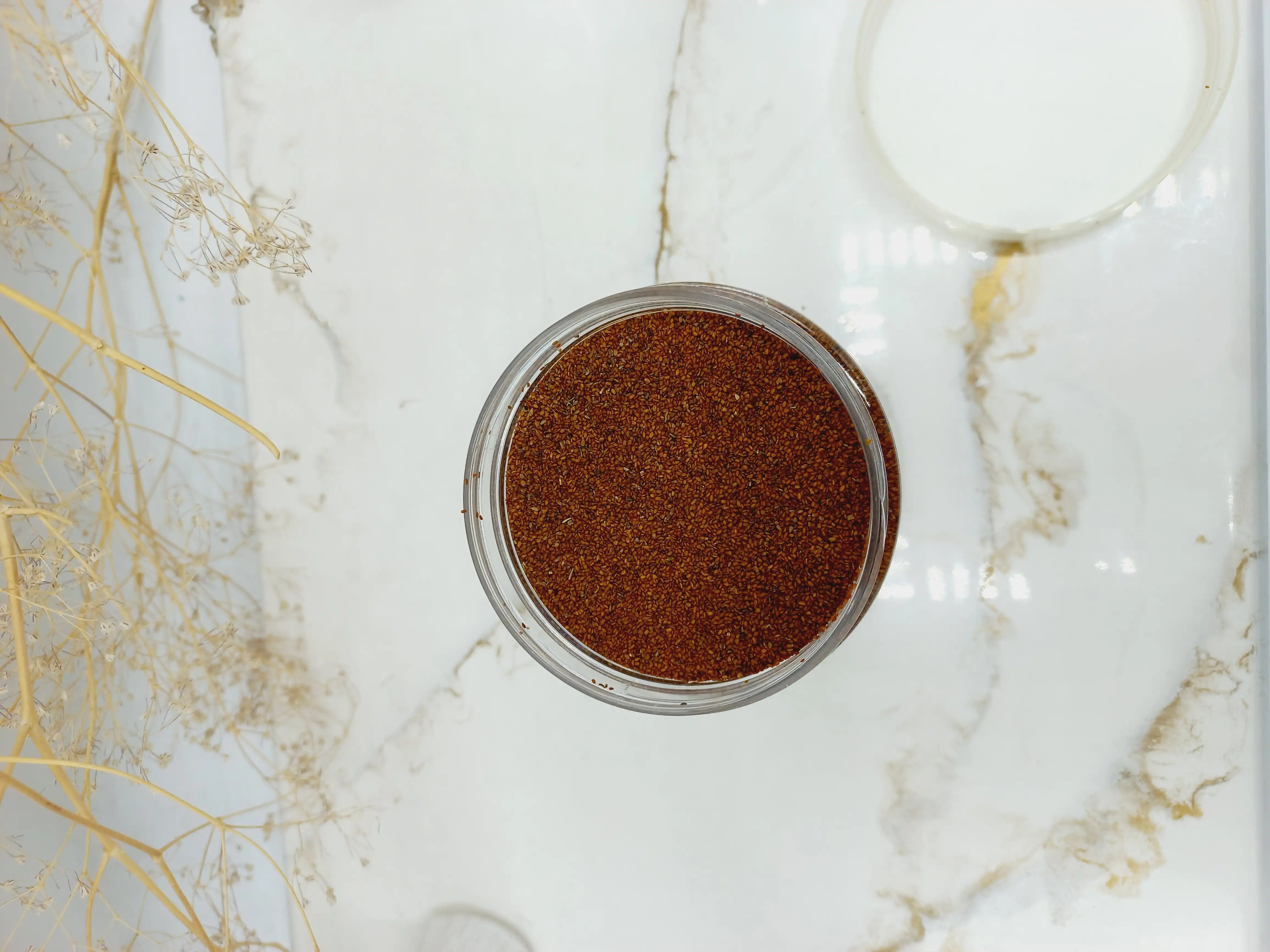 ماسک پودری لاتکسی صورت دانه جلبک دریایی بیوآکوا کد bqy9049