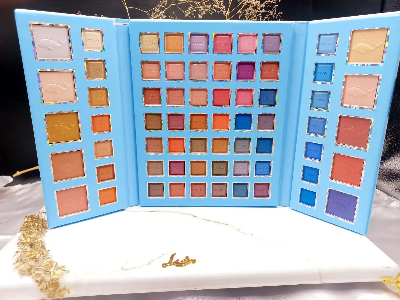 پالت سایه ۶۶ رنگ دلفینی برند پلیویز PLOUISE کد TZY_0014