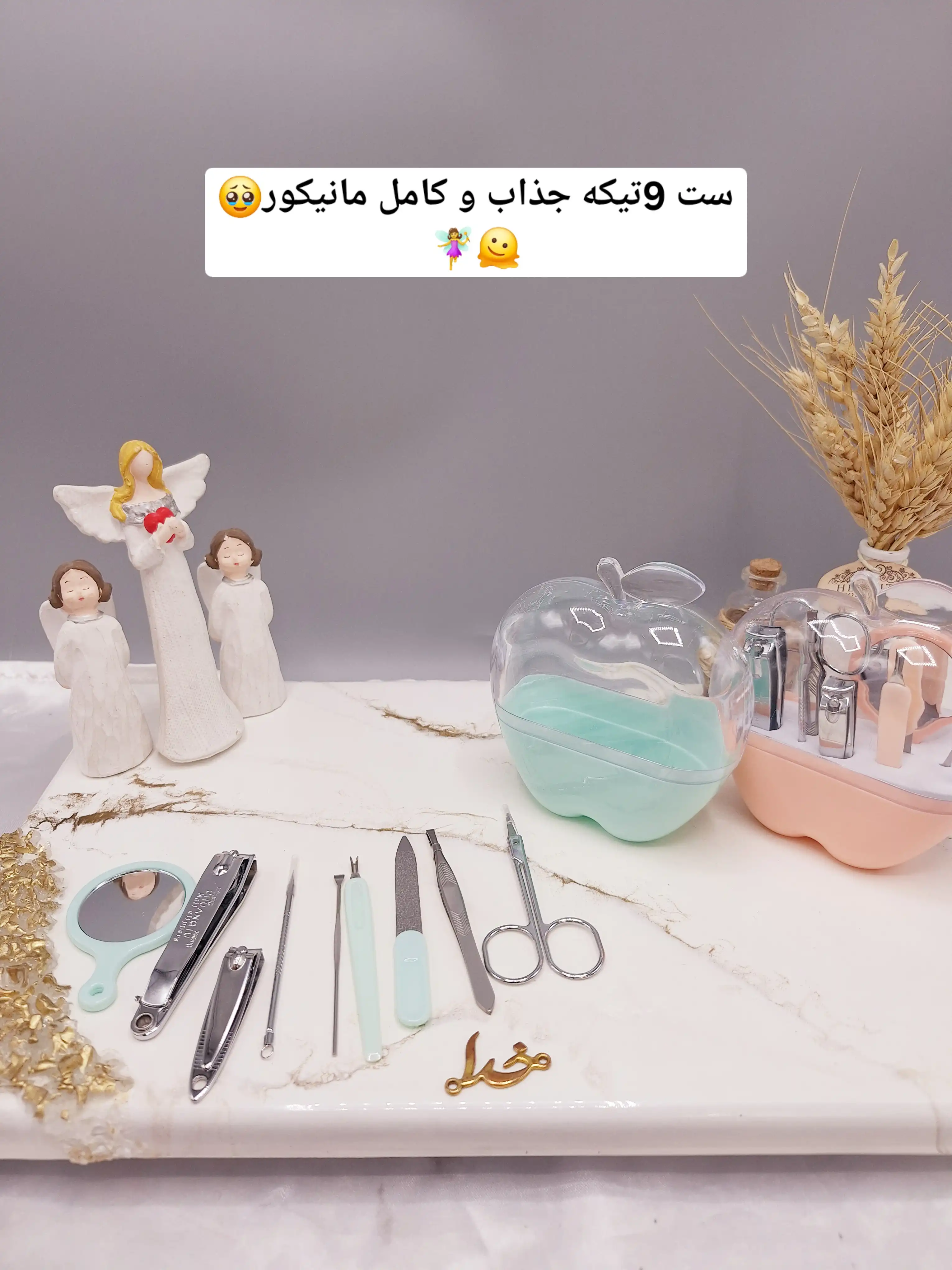 ست مانیکور و پدیکور طرح اپل 9 تکه کد F0130