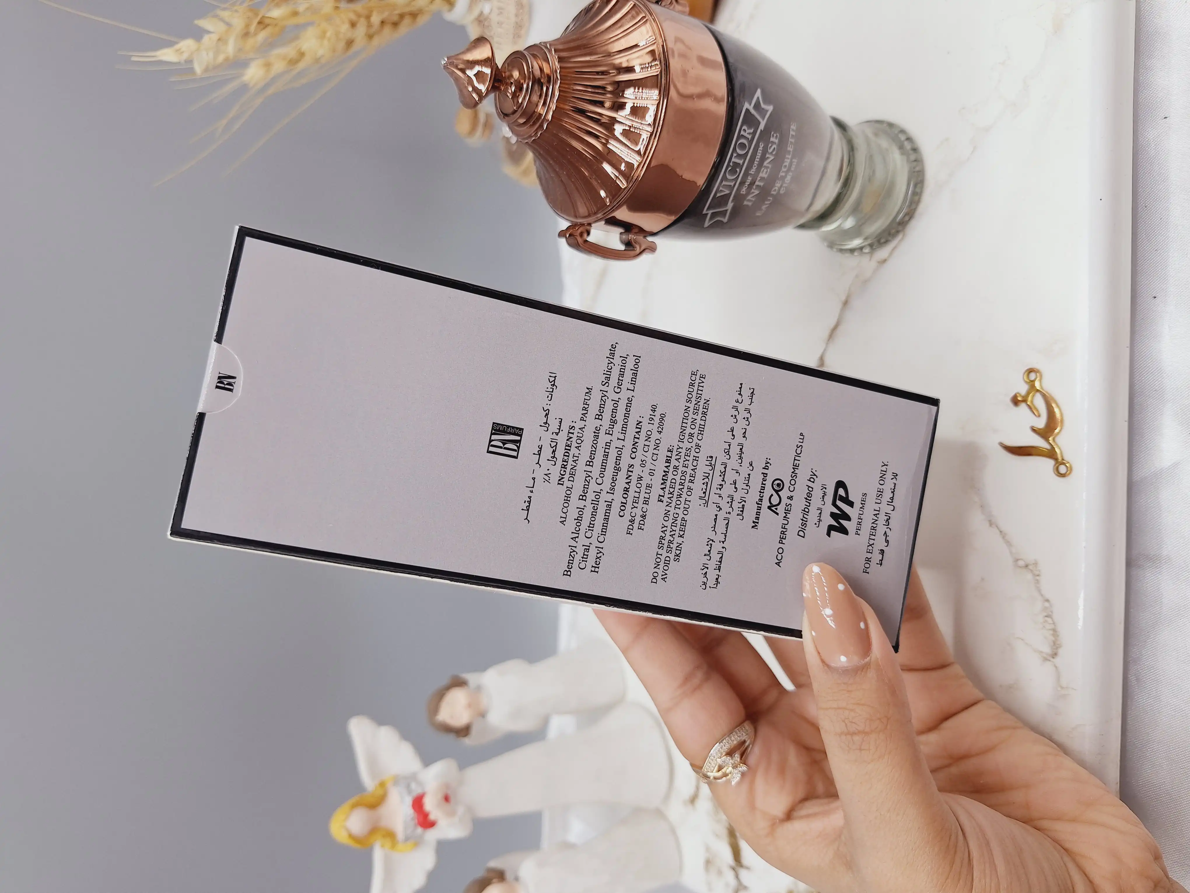 ادکلن مردانه ویکتور 100ml VICTOR کد BN_17166