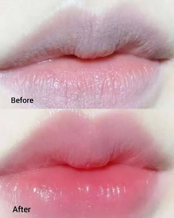 بالم لب مرطوب کننده و مراقبت کننده از خشکی لب کیتی برند Miss Vanessa کد 7025