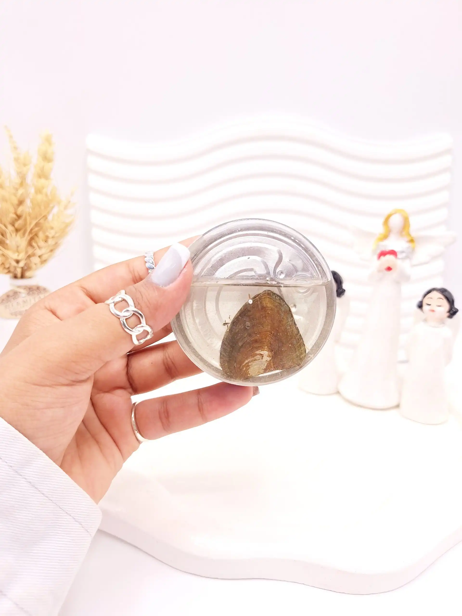 گردنبد مروارید عشق کادو خاص و زیبا